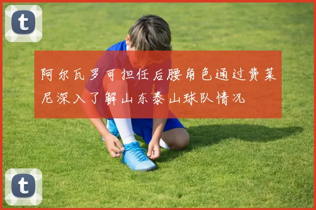 阿尔瓦罗可担任后腰角色通过费莱尼深入了解山东泰山球队情况