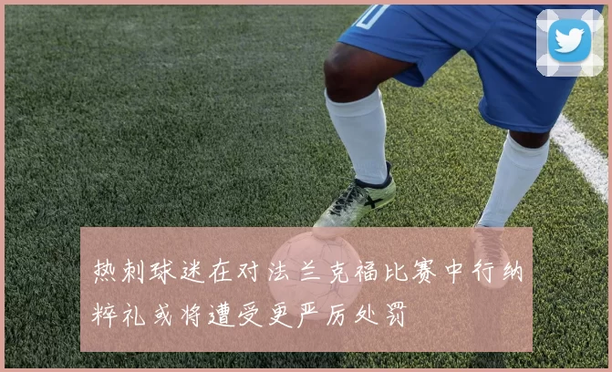 热刺球迷在对法兰克福比赛中行纳粹礼或将遭受更严厉处罚